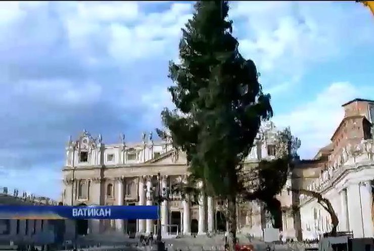 У Ватикані встановили 25-метрову ялинку з Італії
