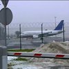 Авіаперевізники-лоукостери можуть залишити небо України