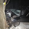В Киеве машина влетела в дерево: 3 погибших (фото)