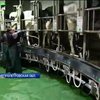 Люди с автоматами захватили сельхозпредприятие "Чумаки"
