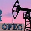 В ОПЕК уверяют, что увеличивают добычу нефти не из-за России