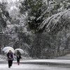 В Японии погибли два человека из-за снегопадов (фото)