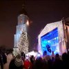 Главная елка страны переместилась с Майдана под Софию (видео)