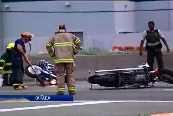 У Канаді засудили водія, що рятуючи качок спричинила аварію