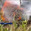 На Гаваях до Різдва вулкан може дістатися міста