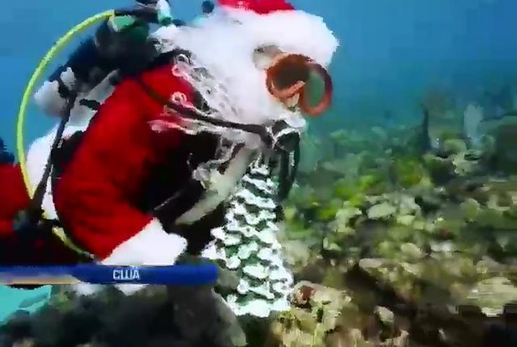Санта-Клаус привітав рибок з Різдвом (відео)