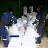 Поліція Перу за місяць вилучила 5 тонн кокаїну