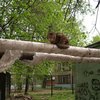 В Петербурге побили стекла в доме из-за кота