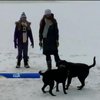 Каліфорнію засипало снігом