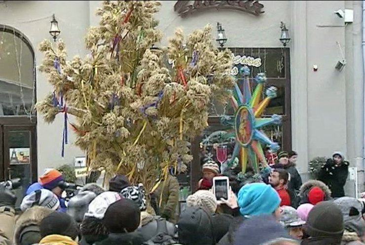 Во Львове открылся рождественский вертеп с традиционным дидухом
