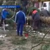 В Ивано-Франковске ураган повалил новогоднюю елку