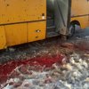 Европарламент признал терактом обстрел автобуса под Волновахой