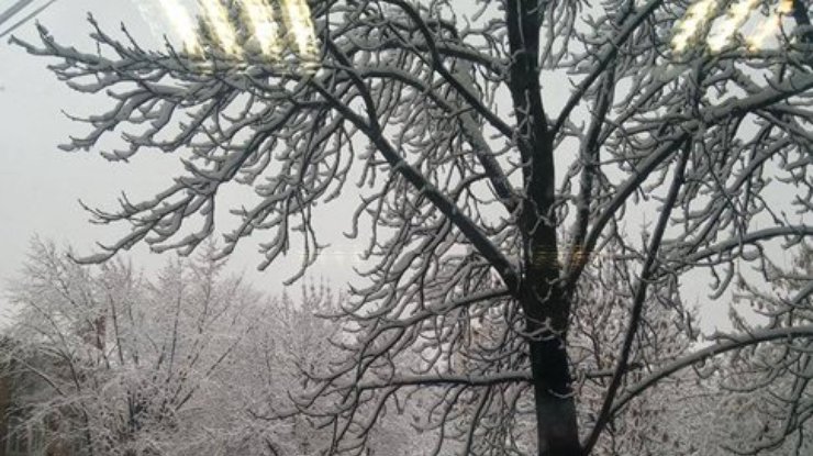 Киев за ночь завалило снегом (фото)