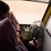 Селяни кидають домівки через обстріли під Маріуполем