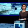 13 в'язнів втекли після артобстрілу на Луганщині