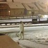 По Бостону разгуливает снежный человек (фото, видео)