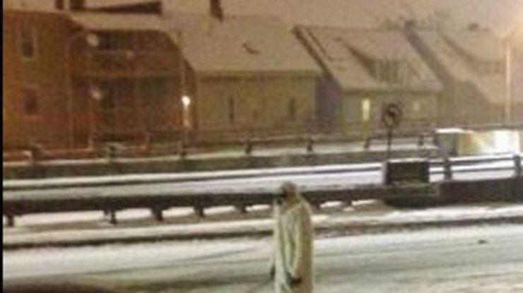 По Бостону разгуливает снежный человек (фото, видео)