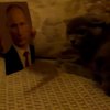 Кот по имени Майдан атакует Путина (видео)