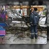 У Миколаєві буревій повалив півсотні дерев