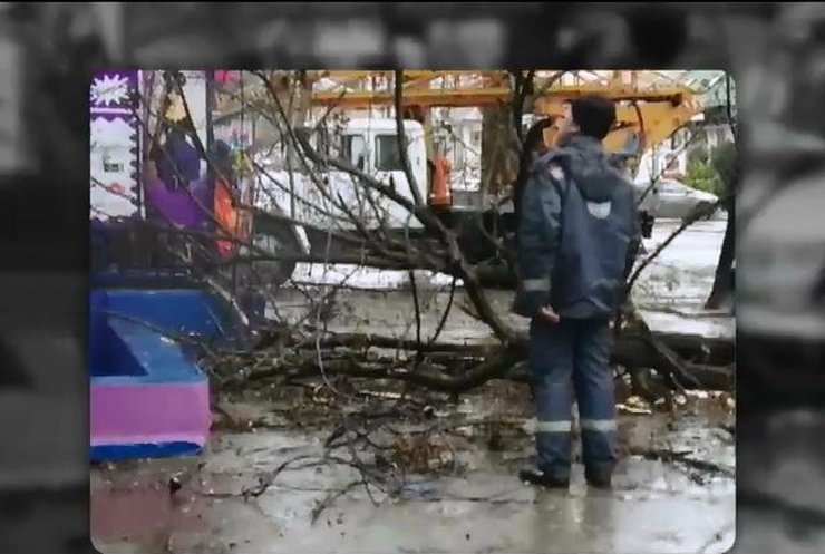 У Миколаєві буревій повалив півсотні дерев