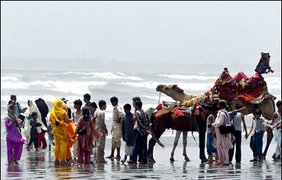 Купание пакистанского верблюда