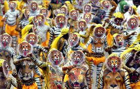 Тигровый парад