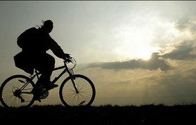 Ехали медведи на велосипеде?