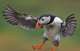 Привет! Какие люди!