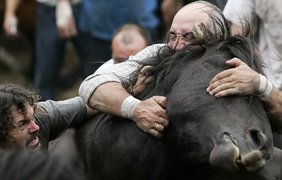 Испания: объездка диких лошадей