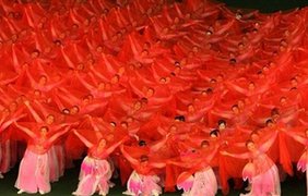 Обилие цвета