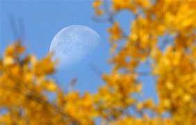 Лунная осень