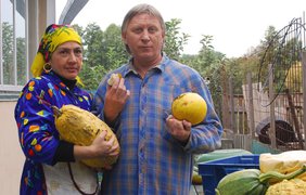 Кому по тыкве?