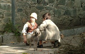 Не кобель, не донжуан, а просто Шарик