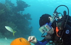 Хэллоуин в подводном мире