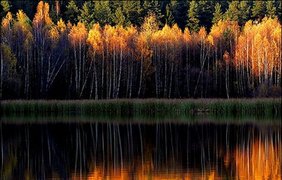 Осенние спички