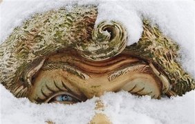 Восставший из снега