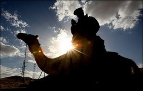 Верблюжья полиция