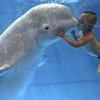 Лучшие фотографии года от REUTERS 2007