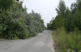 Улица Леси Украинки