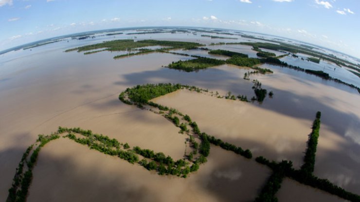 Паводковые воды после разлива реки Миссисипи к северу от Нью-Мадрида