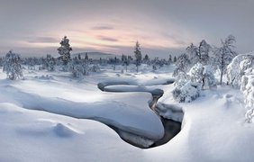 Wild Wonders of Europe: Дикая природа через объектив