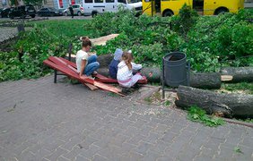 Александровский проспект, упавшее дерево разломало скамейку