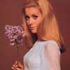 Легендарная француженка: Катрин Денев исполнилось 70 лет