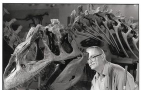 Чистильщик костей динозавров