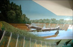 Художник превратил парадное в картинную галерею