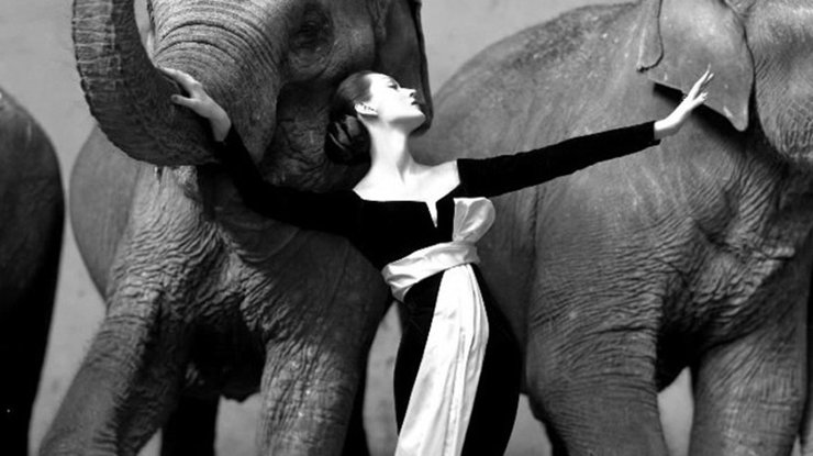 Довима и слоны, 1955 Автор: Ричард Аведон Цена: $1 151 976