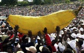 Консервативно настроенное население выбирает банан