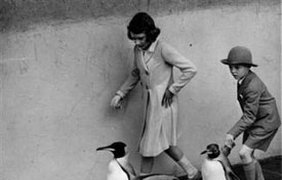 Прогулка с пингвинами