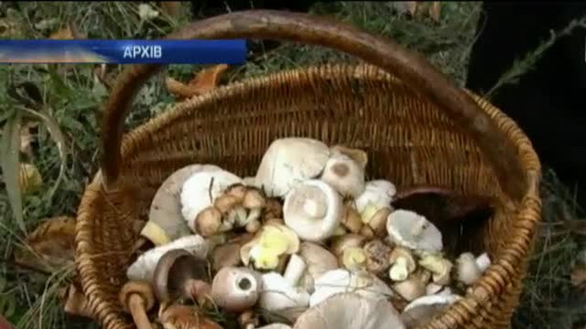 НОВОСТИ за 2013-10-01 07:30