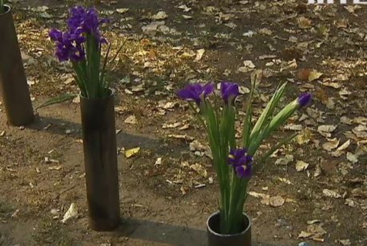 На акції у Києві висадили квіти у гільзах